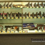 Handgun display case